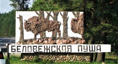 БРЕСТ6